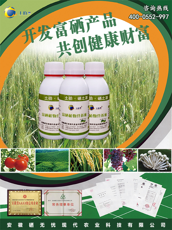 ������,��������