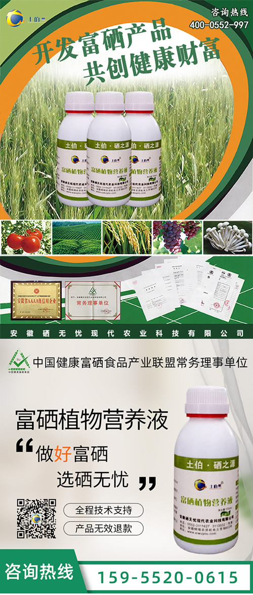 ˮ��������