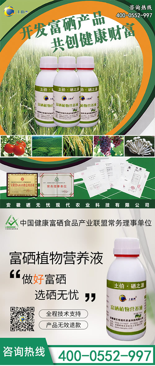 �����~���,�����s�Z